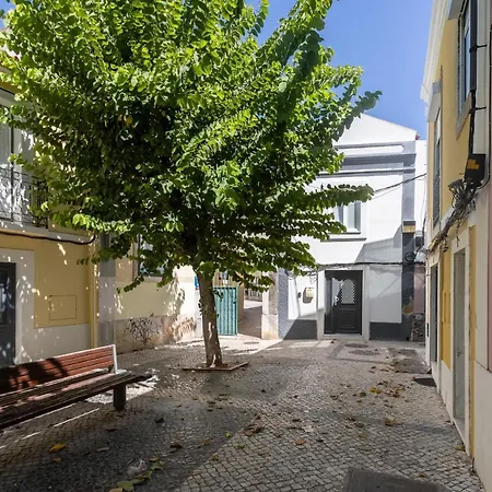 Holiday home Lua's - Predio Baixa Setubal