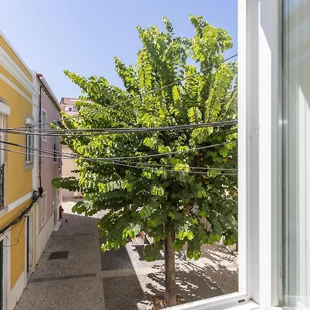 Lua's - Predio Baixa * Setubal