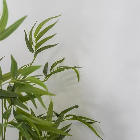 Casa de Férias Lua's - Predio Baixa Setúbal