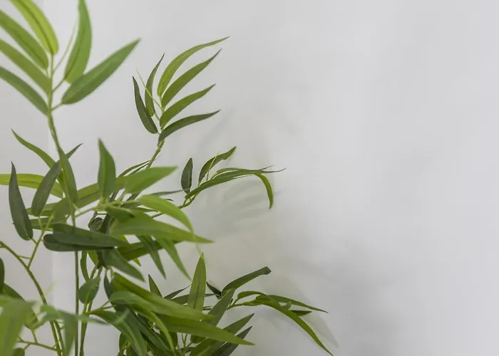 Σπίτι διακοπών Lua's - Predio Baixa Σετούμπαλ