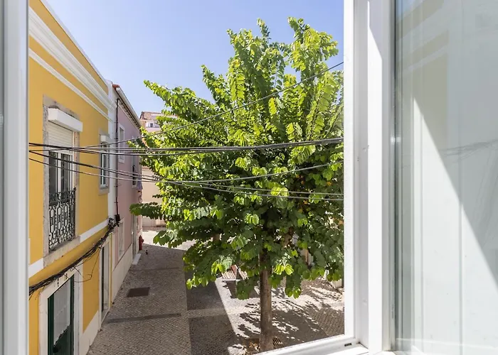 Lua's - Predio Baixa * Σετούμπαλ